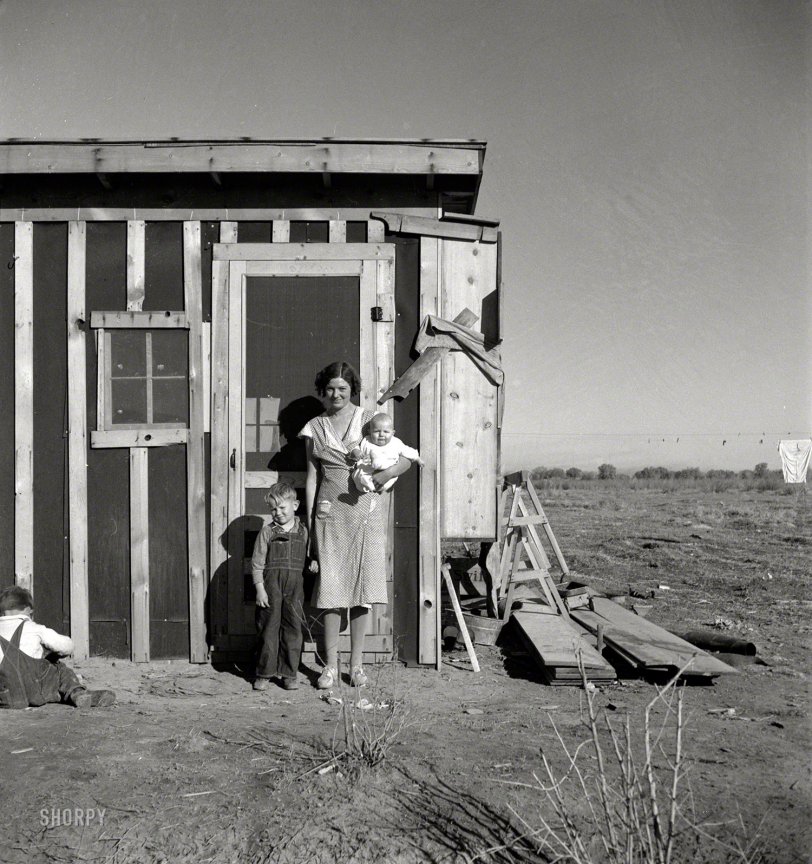 December 1935. "Resettled at Bosque Farms project in New Mexico. Family of four from Taos Junction shows temporary dwelling." Medium-format negative by Dorothea Lange for the Resettlement Administration. View full size.

