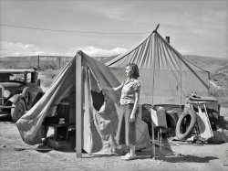 July 1936. "Many fruit tramps live in tents like these. Yakima, Washington." Slang for the itinerant agricultural workers, many of them Dust Bowl refugees, who picked apples, pears and cherries in the Pacific Northwest. Photo by Arthur Rothstein for the Resettlement Administration. View full size.