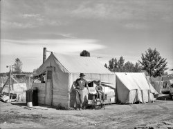July 1936. "Migratory workers' camp in Yakima, Washington." Displaced farm families from the Dust Bowl states working as laborers in the Northwest's fruit orchards, living in government-run tent camps. Medium-format nitrate negative by Arthur Rothstein for the Resettlement Administration. View full size.
The House That Kent BuiltIt's interesting to note that the wood used to make part of the tent wall (to the right of the boy sitting on the sewing machine table) is from the shipping crate of an Atwater Kent console radio.  Note, too, that 1936 was the year Kent closed the doors of his Philadelphia factory and moved to California.
Five will get you ten, the radio isn't inside the tent.
You don&#039;t need a weatherman . . .Is that a wind vane in the left background? If it used to be a windmill, there sure isn't much left!
Keep Calm and Carry OnMy heart goes out to these folks. Uprooting your lives and moving no telling where just to make it. I wonder how these people ended up, better or worse off. Looks like Dad and son are waiting for Mom to come in from the orchards, maybe for some mending to be done with that old treadle machine. Dads shirt sleeve and sons knee britches. I would love to have a treadle. No electricity needed!
ThankfulPhotos like these remind me to be thankful that my parents, who were born the very end of the 1920s, were both from Washington. My father's hometown is Ellensburg, which is very close to Yakima, and my mother was from Walla Walla, down near the Oregon state line. Their families weren't totally unaffected by the depression, but the land didn't turn against them, like it did in much of the country.  My mother's people were farmers.  Although she and her parents had to live with Grandpa's parents until 1934, and things like new clothing were rare, they always had plenty to eat. I wonder how many of the people in these pictures stayed in the northwest, and how many eventually returned to their previous homes, once things there had improved. 
Dbell, that area is well known for wind! When my father was in college, it was customary for the young men to use egg white, like a precursor to hair gel! 
PropsThat weather vane is just for showing the direction of the wind&mdash;this one has a propeller on the front that would spin in the breeze.  I have a Singer pedestal sewing machine just like that one in my small collection, and I once helped build a tent house virtually identical to that one for a museum display.  It was surprisingly comfortable, but then, I didn't have to live in it.
FedorasSome wear them well, others not so well. This man had looking debonair nailed even in a numbingly humble situation.
(The Gallery, Arthur Rothstein, Camping, Great Depression)