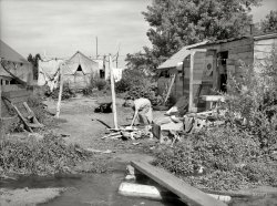 July 1936. "Migratory fruit pickers' camp in Yakima, Washington." Dust Bowl refugee from the Midwest hammering away at packing crate scraps outside her tent. Medium-format negative by Arthur Rothstein. View full size.