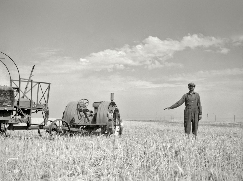 July 1936. "John Frederick of Grant County, North Dakota, shows how high his wheat would grow if there were no drought." Medium-format nitrate negative by Arthur Rothstein for the Resettlement Administration. View full size.
