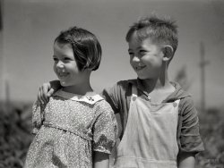 Summer 1936. "Children of homesteaders in Wichita Gardens, Texas, one of the subsistence colonies sponsored by the Farm Security Administration." Photo by Arthur Rothstein for the FSA. View full size.
Wow.What a great picture.  Pictures like this are what makes this gallery great.
SmilesI hope their lives were always as happy as they appeared this day!!  Great photo.
Dalworthington GardensWe live next door to Dalworthington Gardens, now surrounded by the city of Arlington. There are still some remnants of the subsistence homesteading scheme there; it's fun to drive around there and look for them--like the lots that are huge for a city residential lot but just right for a truck farm. 
Swiss armyIt was kind of Rothstein to go for the three-quarter portrait--that kid's ears could multitask as shade, windbreak and sundial. 
Say cheese!These kids had a great smile!  And you know they had zero, and were dirt poor.
Clean clothes, clean hair, ...and something to smile about. All too rare in so many similar pictures from those tough times.
(The Gallery, Arthur Rothstein, Kids)