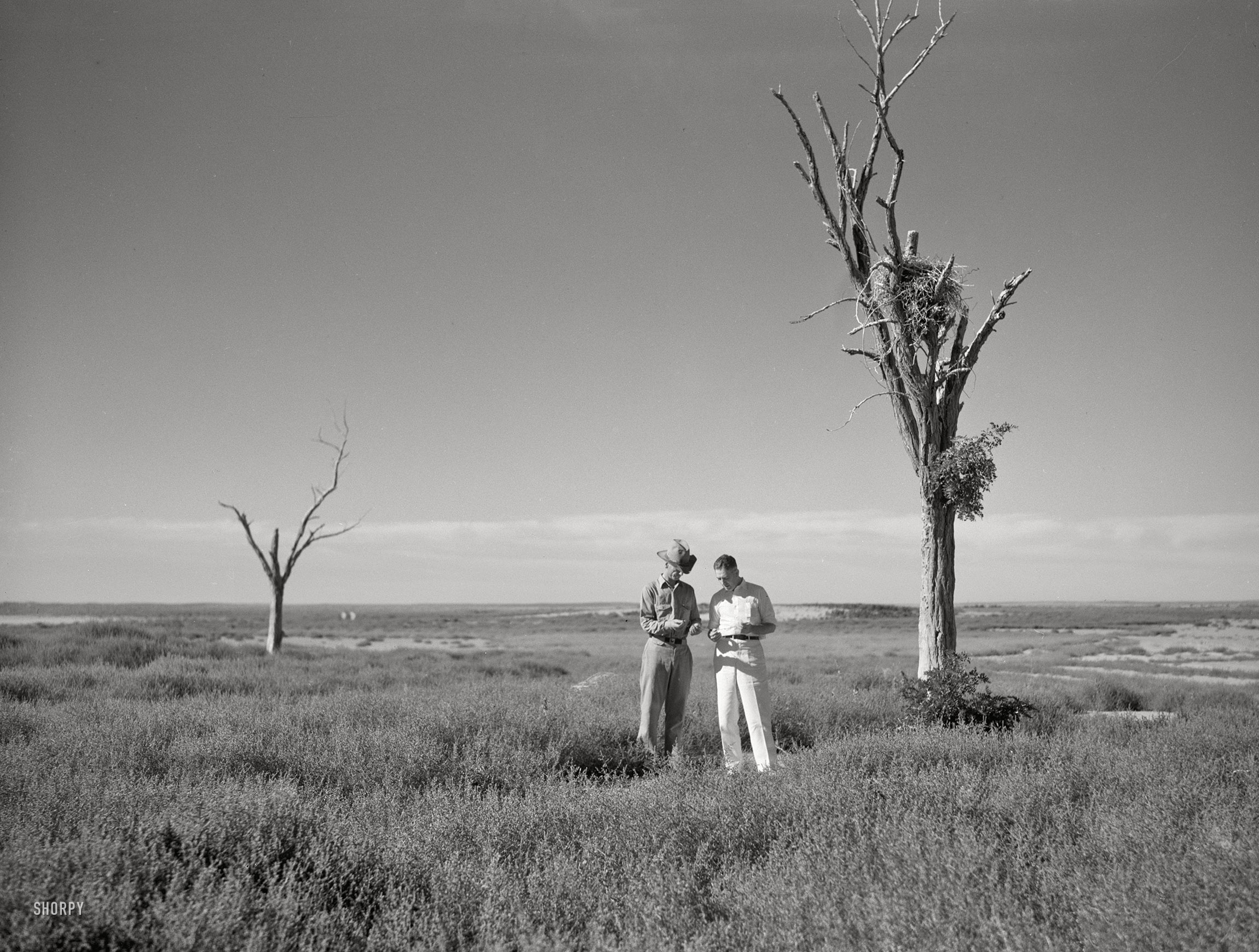 Summer 1936. "President's Report. Dr. Tugwell and farmer of dust bowl area in Texas Panhandle." Resettlement Administration head, New Deal "Brain Trust" strategist and future Puerto Rico governor Rexford Tugwell in the field. Medium-format nitrate negative by Arthur Rothstein. View full size.