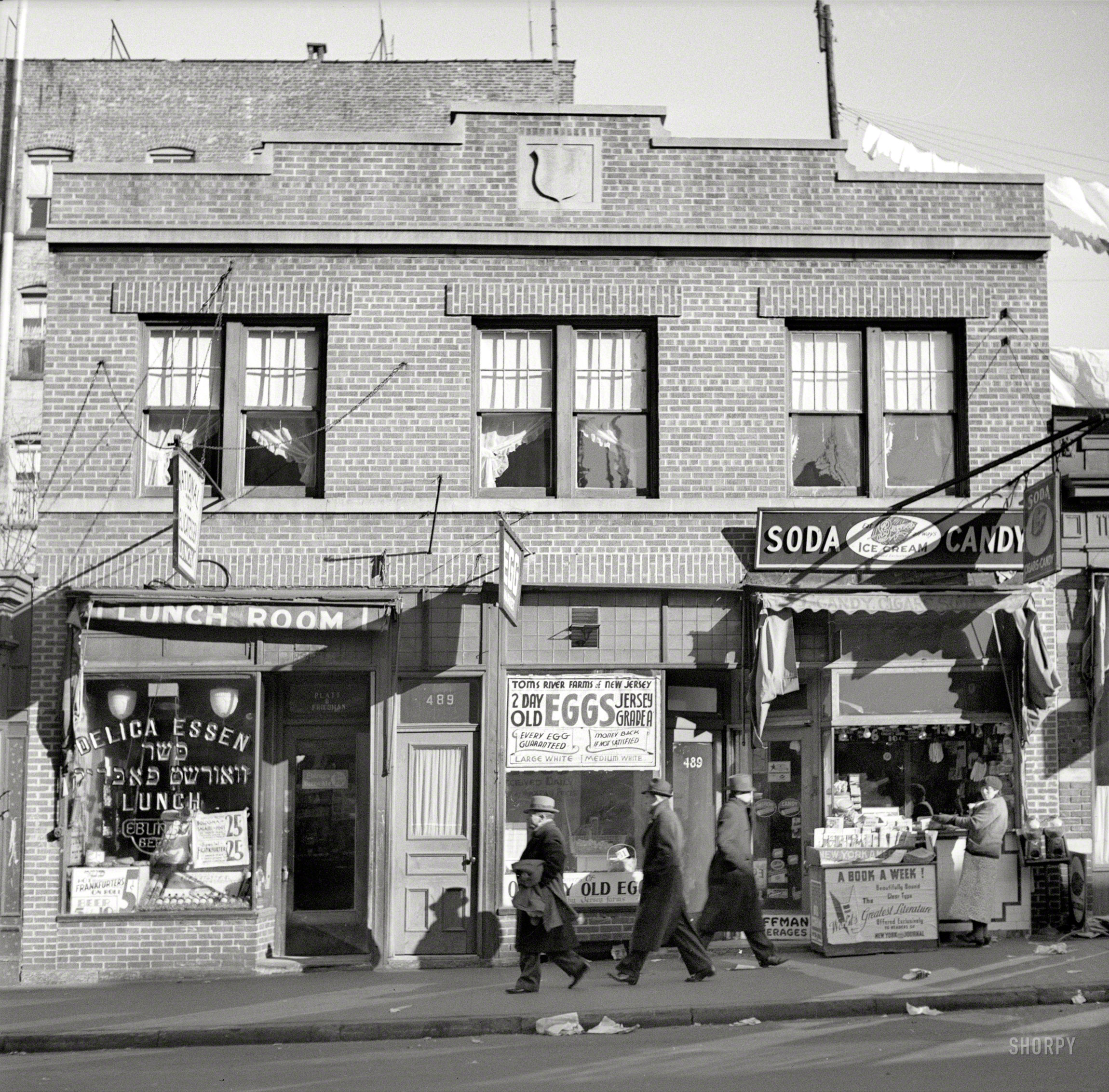 December 1936. "Store at which Mrs. Hotchfield does her shopping. Washington Avenue, the Bronx." Home of the guaranteed two-day egg, as well as "greatest literature." Medium format negative by Arthur Rothstein. View full size.