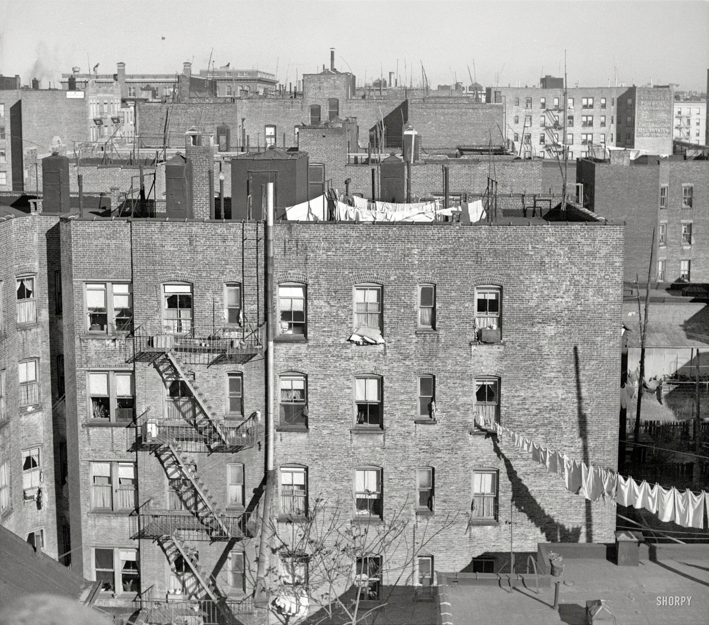 December 1936. "New York. Scene from the Bronx tenement district from which many of the New Jersey homesteaders have come." There are a million stories in the Naked City, and a lot of them seem to involve laundry. Photo by Arthur Rothstein for the Resettlement Administration. View full size.