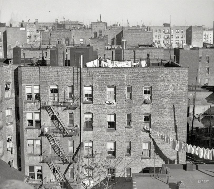 December 1936. "New York. Scene from the Bronx tenement district from which many of the New Jersey homesteaders have come." There are a million stories in the Naked City, and a lot of them seem to involve laundry. Photo by Arthur Rothstein for the Resettlement Administration. View full size.
