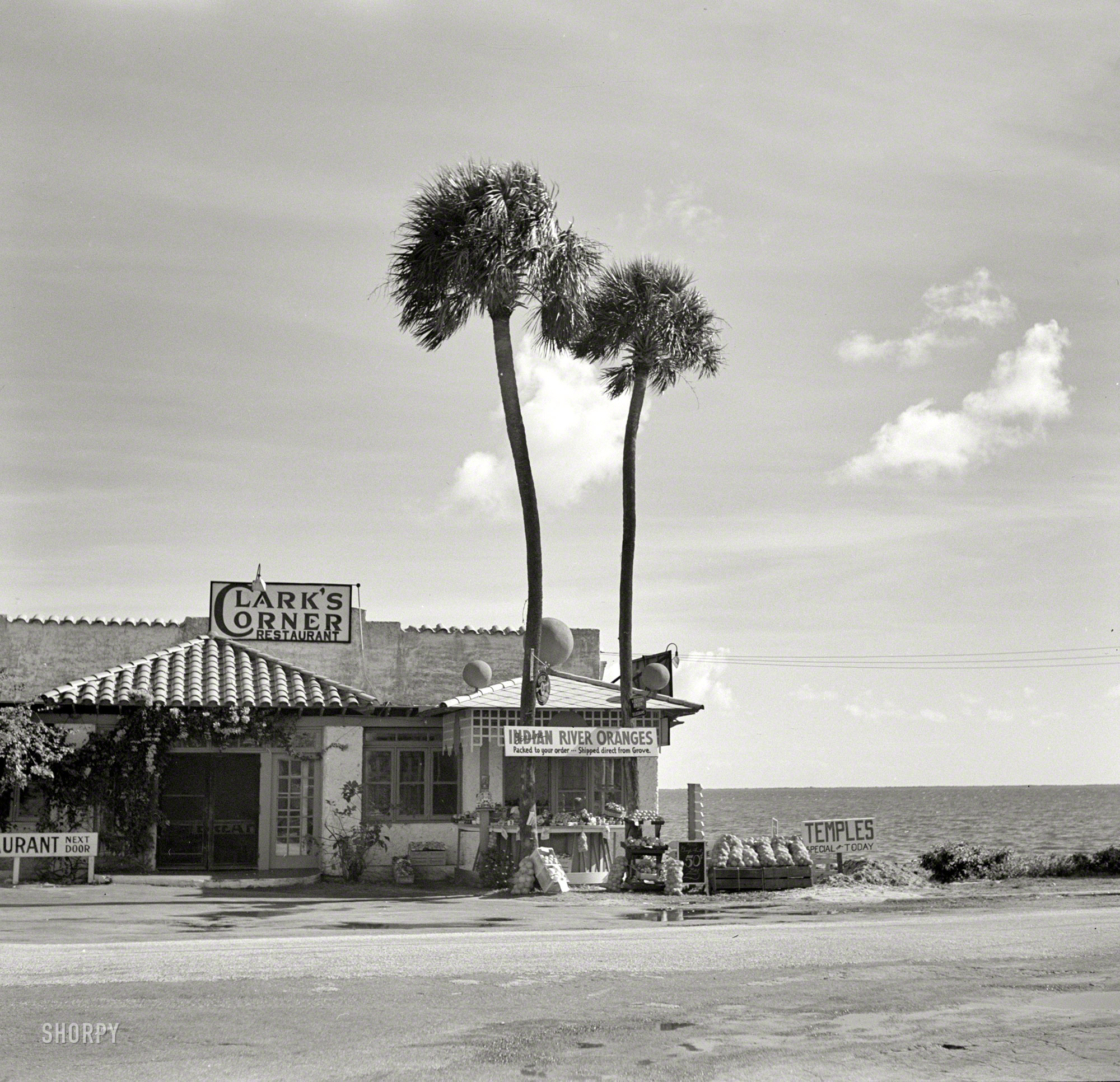 January 1937. Brevard County, Florida. "Roadstand near Cocoa." Photo by Arthur Rothstein for the Farm Security Administration. View full size.