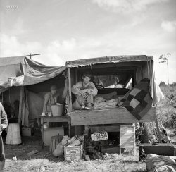 January 1937. "Migrant agricultural workers. Family from New Mexico, camped near the packinghouse at Deerfield, Florida. Note the box labeled 'Yakima Apples' which has been carried all the way from the apple orchards of Washington." Photo by Arthur Rothstein for the Resettlement Administration. View full size.