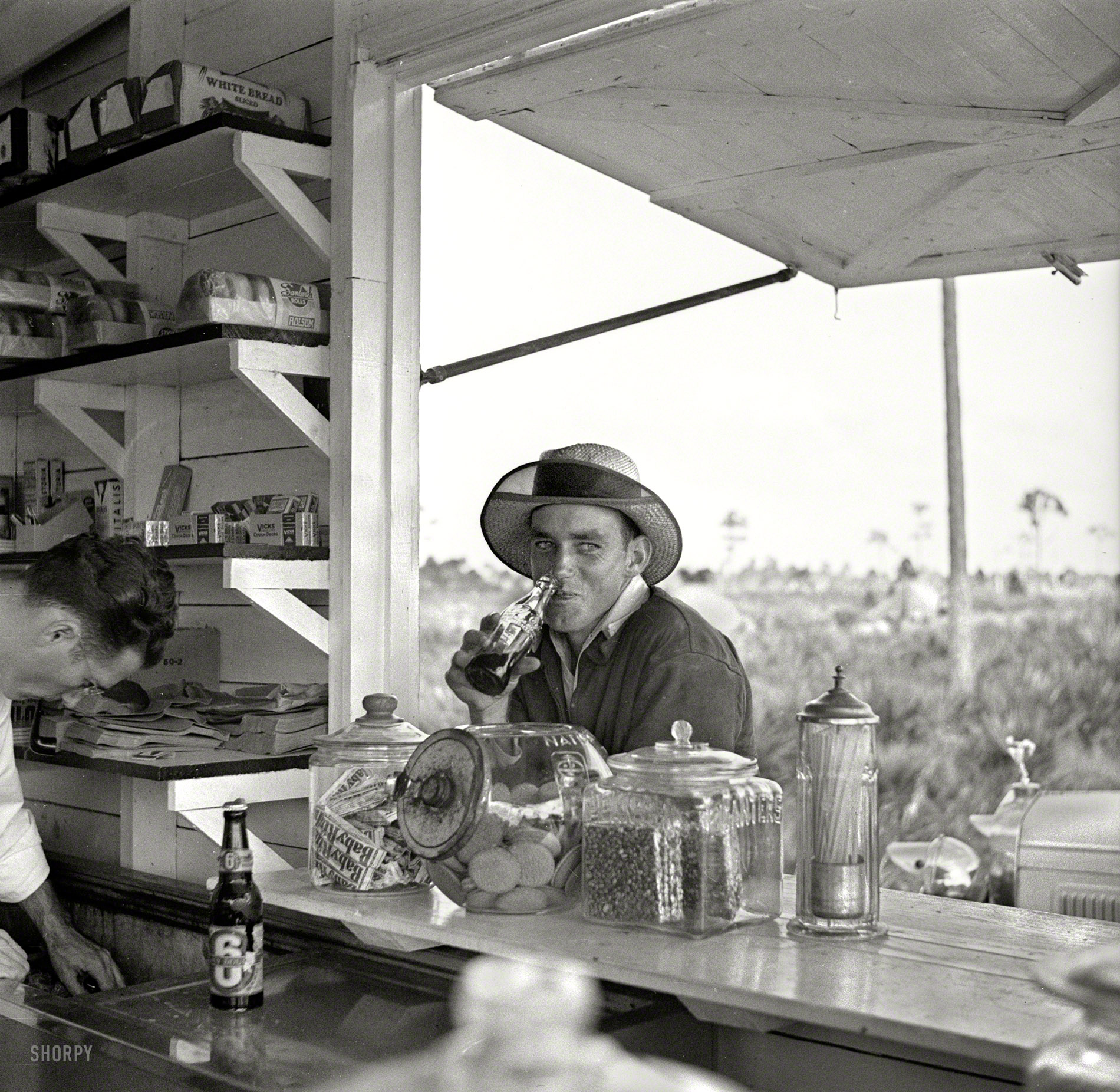 January 1937. "Unmarried man who works in the packinghouse at Deerfield, Fla." Photo by Arthur Rothstein, Resettlement Administration. View full size.