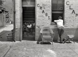July 1938. "House in Negro section of Baltimore, Maryland." Crabs and clams to go, please. Medium-format nitrate negative by John Vachon. View full size.