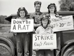 August 1938. "Picket line at the King Farm strike near Morrisville, Pennsylvania. Negro and white agricultural workers striking against an hourly wage of 17 to 20 cents." Medium format negative by John Vachon. View full size.
World&#039;s most contented strikersPleasant smiles, no traces of anger... kinda takes the edge off that militant labor image. And how about those four sets of near-perfect, pre-orthodontia teeth?
HairBack when I had hair I never had that much. It's not fair.
Cheap employerWell I'll be the first to use the old inflation calculator. The 17 to 20 cents per hour in '38 is now equal to $2.73 to $3.22 an hour. Given the fact that the current minimum wage is $7.25, this employer is one cheapskate!
From the LoC:Found at explorepahistory.com: Credit: Library of Congress	
During the 1930s, Pennsylvania farmers continued to seasonally employ thousands of men and women desperate for jobs. Awful living conditions and low wages pushed some workers to the breaking point. In the summer of 1938, workers near Morrisville staged a strike when the King Farm refused to pay them more than 17 to 20 cents an hour. The strike attracted the attention of the Federal Farm Bureau Administration (FSA), which sent John Vachon (1915-1975) to photograph what was taking place. An FSA messenger and clerk, Vachon later would become an acclaimed documentary photographer, working for Life Magazine and other major publications. 
(The Gallery, Agriculture, John Vachon)
