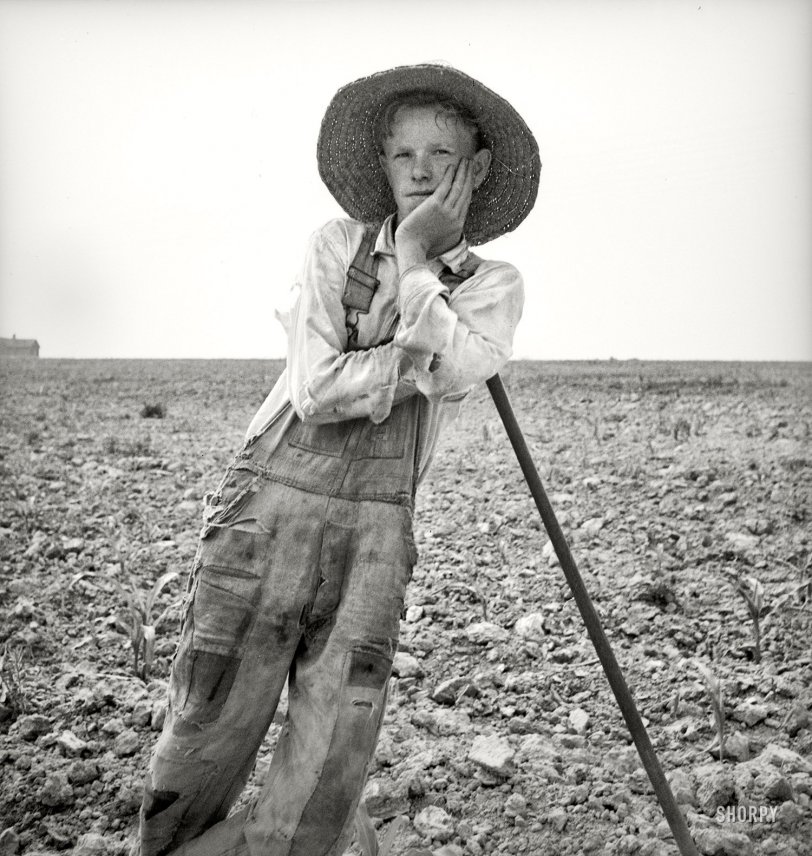 July 1936. "Hoe culture in the South. Poor white, North Carolina." Photo by Dorothea Lange for the Resettlement Administration. View full size.

