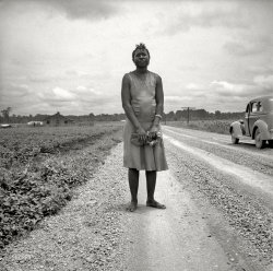 July 1936. "Mississippi Delta. Negro woman carrying her shoes home from church." Last seen here. Photo by Dorothea Lange. View full size.