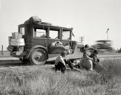 November 1936. "Depression refugee family from Tulsa, Oklahoma. Arrived in California June 1936. Mother and three half-grown children; no father." Photo by Dorothea Lange for the Resettlement Administration. View full size.