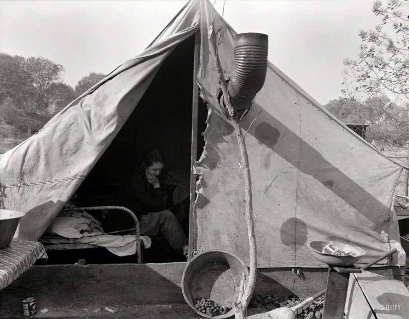 November 1936. "Home of Tennessee family of seven, now migratory workers living in camp outside of Sacramento, California. Father was coal miner in Tennessee but when the mines were not working received two days a week relief work. 'Thought we could make it better out here'." The coal miner's daughter, previously seen here. Photo by Dorothea Lange. View full size.
