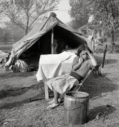 November 1936. "Children and home of migratory cotton workers. Migratory camp, southern San Joaquin Valley, California." Medium format nitrate negative by Dorothea Lange for the Farm Security Administration. View full size.