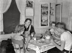 May 1940. "Mrs. Marinus W. Hansen, wife of Farm Security Administration rehabilitation farmer in Box Elder County, Utah, has dinner with her three children. On the table are home-produced milk, homemade bread, home-canned peaches, home-churned butter and fish caught by the three children the day this picture was taken. Homemade dill pickles provided a relish." Medium-format nitrate negative, photographer unknown. View full size.
The DenimLooks like it could be a pair of bib overalls.
1940 CensusThat's mom Elizabeth with oldest daughter Gertrude, her brother Don and little sis Helen. Younger brothers Mack and Clifford might be at the kids' table. Where's Poppa?
Cracking goodAlso, a nice selection of crackers.
A place at the tableHaving grown up in a close-knit family of anywhere from six to eight people together at every meal time, I can tell you that having the reassuring knowledge that there is a place for you in the family is what I feel really gives people a sense of security.  I notice it in very young toddlers and kids too, when there is going to be food served to a group.  They seek out their space and yearn to be included as a special recognition of their importance.  Our meals were rarely elaborate either, but the camaraderie, the laughter, discussion, whatever interactions involve the entire group gives one a good feeling of belonging, which is why I absolutely hate the design of a "bar" in kitchens where everyone sits in a long row or stands over the sink to dine.  That strong feeling of attachment to one's clan comes through face-to-face discussion and acceptance in my opinion. 
The absent dadAccording to Ancestry.com and findagrave.com, Marinus Woodruff Hansen was born 5 June 1891 in Franklin Idaho, and died 21 October 1964. He was buried in Riverview Cemetery in Tremonton, Box Elder County Utah.
Like most every PoppaHe's the one taking pictures.
[Not unless he was working for the Farm Security Administration. - tterrace]
I&#039;ll be darned!I never expected to see something from MY neck of the woods, here, but I live in Box Elder County, Utah!  This area was settled by Scandinavians and there are lots of Hansens (and Jensens, Jeppsens, Rasmussens, and all kind of other "sens").  
I just learned that this family was from Tremonton, Utah, 20 miles north of me. Don served in the Marine Corps during WWII. He just passed away, in 2011, or I would contact him. I will see if I can find any descendants of this family. I'm sure they would be very happy to see this every day scene from their family's history, frozen in time, here on Shorpy!
Homemade MilkNon-Pasteurized? *Gasp* How are they still alive?
Bread Of LifeMy mother-in-law grew up on a farm in Minnesota in the teens and twenties. I remember discovering how to make bread back in the 1970s and telling her about it. Although she was happy for my enthusiasm, it was hard for HER to work up any. She said that her mother almost always made bread for she and her 7 siblings. On the very are occasions that they got to eat store-bought bread, they were THRILLED because, to them, it was "like cake"!
Home is where the aprons areI noticed that the mother and the oldest daughter are both wearing aprons.  My mother used to make me put one on when I was helping her prepare dinner.    I was also wondering what the denim things are on the left hand side of the picture, next to the mother - jeans or a jacket?
Completely agree with OTY's statement about a place at the table.  
More about the HansensFind-a-Grave also names several other members of the family who are buried at Riverview Cemetery in Box Elder County.
Gudrun Elizabeth Pukkendal Hansen (mother)
 - Born December 3, 1895 - Died November 14, 1977 (age 81)
Helen Hansen Carlson (at left in picture)
 - Born December 16, 1928 - Died July 4, 1968 (age 39)
Don Marinus Hansen (at right in picture)
 - Born February 12, 1923 - Died February 9, 2011 (age 87)
Two boys not in picture:
Neal W. Hansen
 - Born December 26, 1915 - Died October 16, 1967 (age 51)
Carlos A. Hansen
 - Born April 23, 1918 - Died February 19, 1943 (age 24) in the infamous WW II Bataan Death March.  Don had a son named Carlos (1948-1994), probably in Don's older brother's honor.
Here's an undated but much later picture of Don:
I especially like the milk mustache on Gertrude.  And it's probably on the rest of the children.  Mom doesn't have one.  And the mismatched glasses.  Just like in my family when I was a kid.  The drink of choice was iced tea though.  Milk sometimes but especially in the morning for breakfast.
Momma sets the toneOMG! What twinkling eye Mrs. Hansen has!  They had food on the table, clothes on their backs and a roof over their heads= so happy.  What a great family picture.  
(The Gallery, Agriculture)