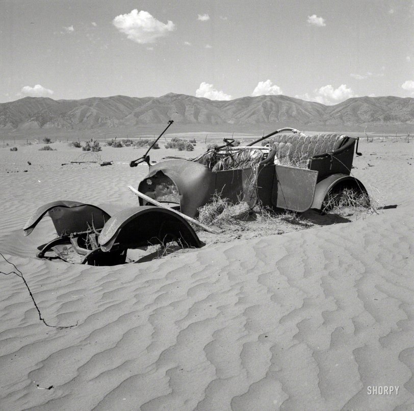 March 1937. "Wind erosion has desolated this once luxuriant bunch grass country in Idaho. Resettlement is restoring the land for grazing." Photo by Wilbur Staats for the Resettlement Administration. View full size.
