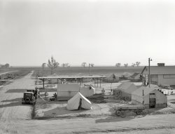 November 1936. "View of Kern County migrant camp. California." One of the many Depression-era tent camps run by the Farm Security Administration that served as way stations for Dust Bowl migrants from the Midwest who found work picking crops in the citrus groves and vegetable fields of the West Coast. Photo by Dorothea Lange for the Farm Security Administration. View full size.
