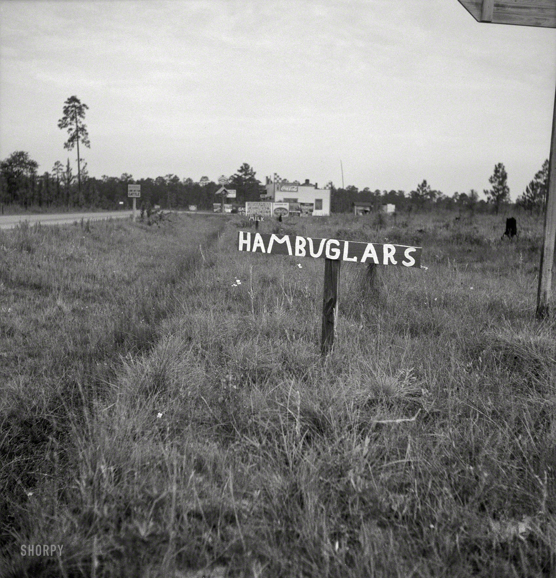 July 1937. "Georgia road sign." Photo by Dorothea Lange, who seems to have appreciated quirky signs. More to come later in the week. View full size.