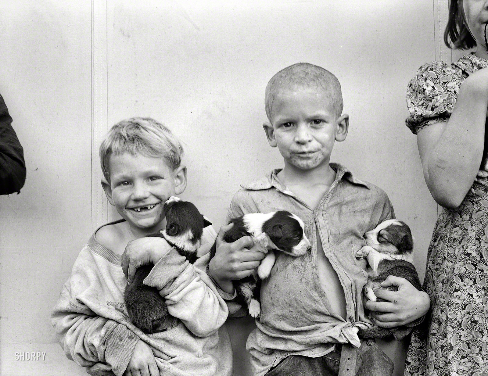 November 1938. "Shafter Camp for migrants, California. Cotton picker's children who live in a tent in the government camp instead of along the highway or in a ditch." Photo by Dorothea Lange, Resettlement Administration. View full size.