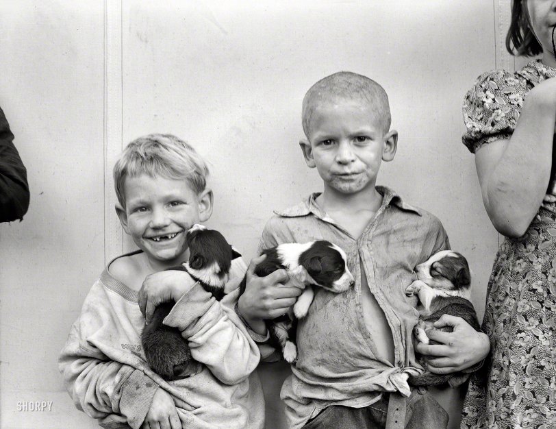 Lucky Pups: 1938