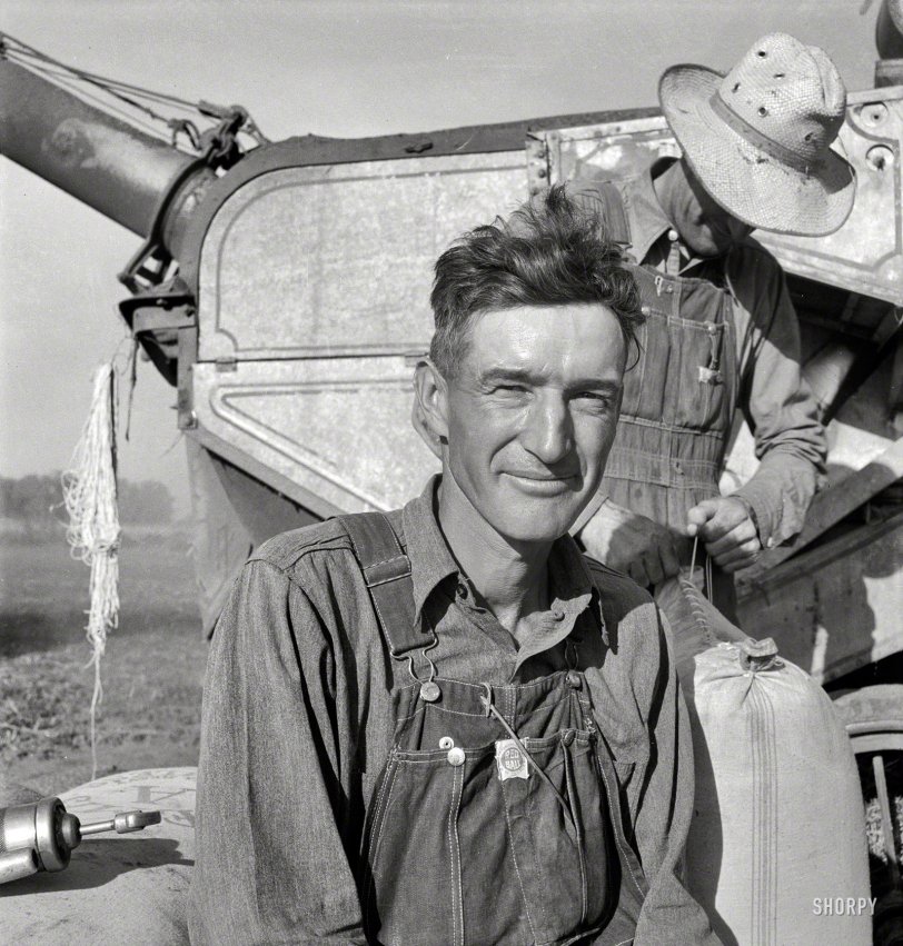 October 1939. "Oklahoman, worked three years as farm laborer, starts next year on his own place. Quit school after third day. Can neither read nor write. Is 'best farm laborer' this farmer ever had. Near Ontario, Malheur County, Oregon." Photo by Dorothea Lange for the Resettlement Administration. View full size.