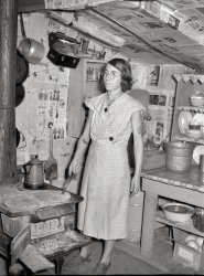 &nbsp; &nbsp; &nbsp; &nbsp; For someone raising a family in a hovel made from tin signs in the city dump, this lady seems to be doing pretty well.
January 1939. "Mother of family on relief living in shanty at city dump. Herrin, Illinois." Seen earlier here. Photo by Arthur Rothstein. View full size.