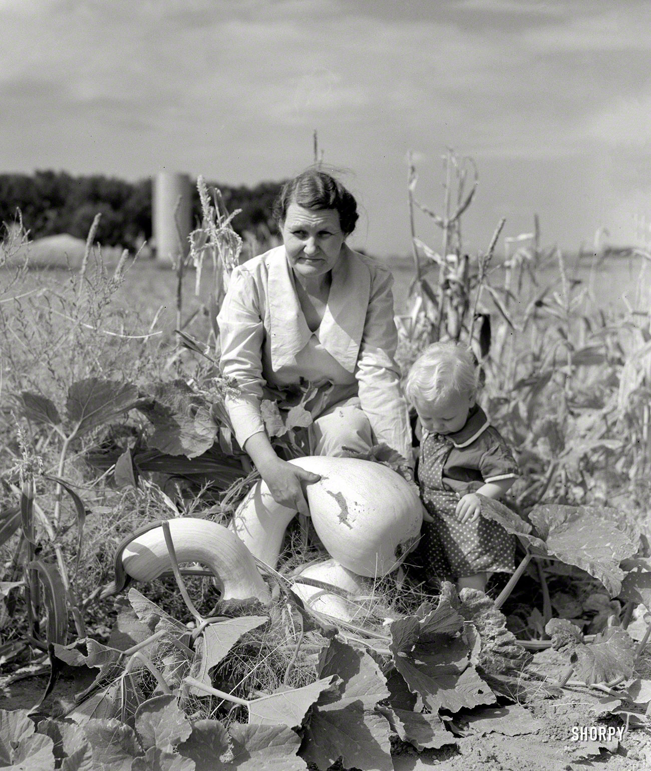 October 1939. "Mrs. Calvin Brown, wife of Farm Security Administration borrower, with grandson in garden near Eaton, Colorado." It may be time to revise the cabbage-leaf theory. Photo by Arthur Rothstein. View full size.