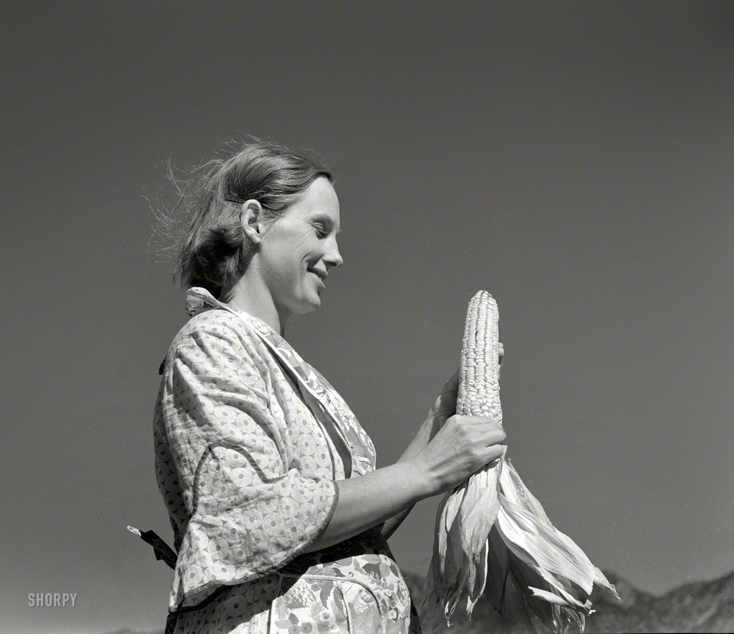 October 1939. "Garden Park, Fremont County, Colorado. Mrs. R.C. Williams, wife of FSA borrower." An obvious connoisseur  of corn. Medium-format negative by Arthur Rothstein for the Resettlement Administration. View full size.