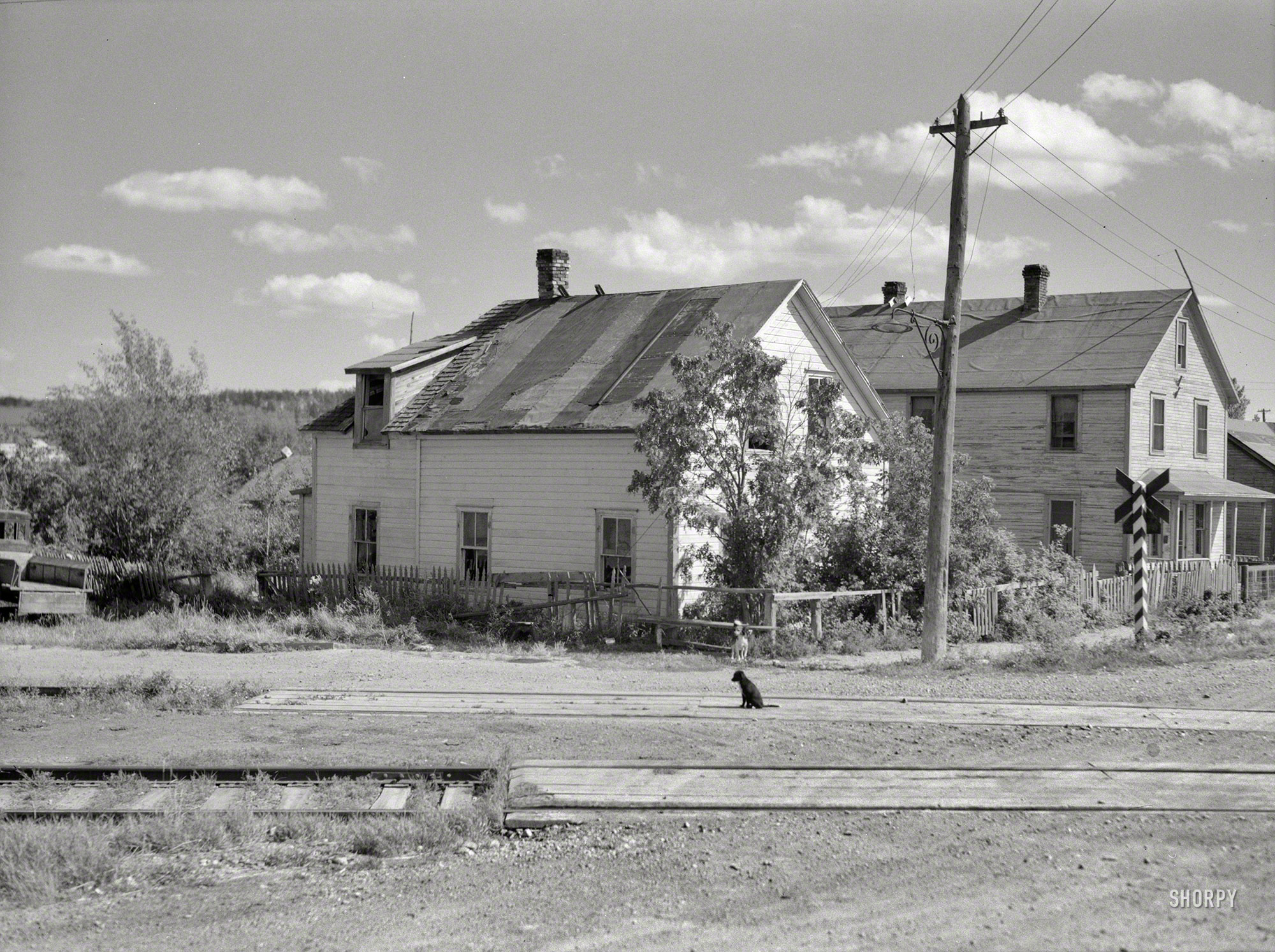 August 1937. "Houses in Winton, Minnesota -- lumber bust town." A two-house town, on a two-dog day. Another example of prolific shooter Russell Lee's work. Medium-format negative for the Resettlement Administration. View full size.