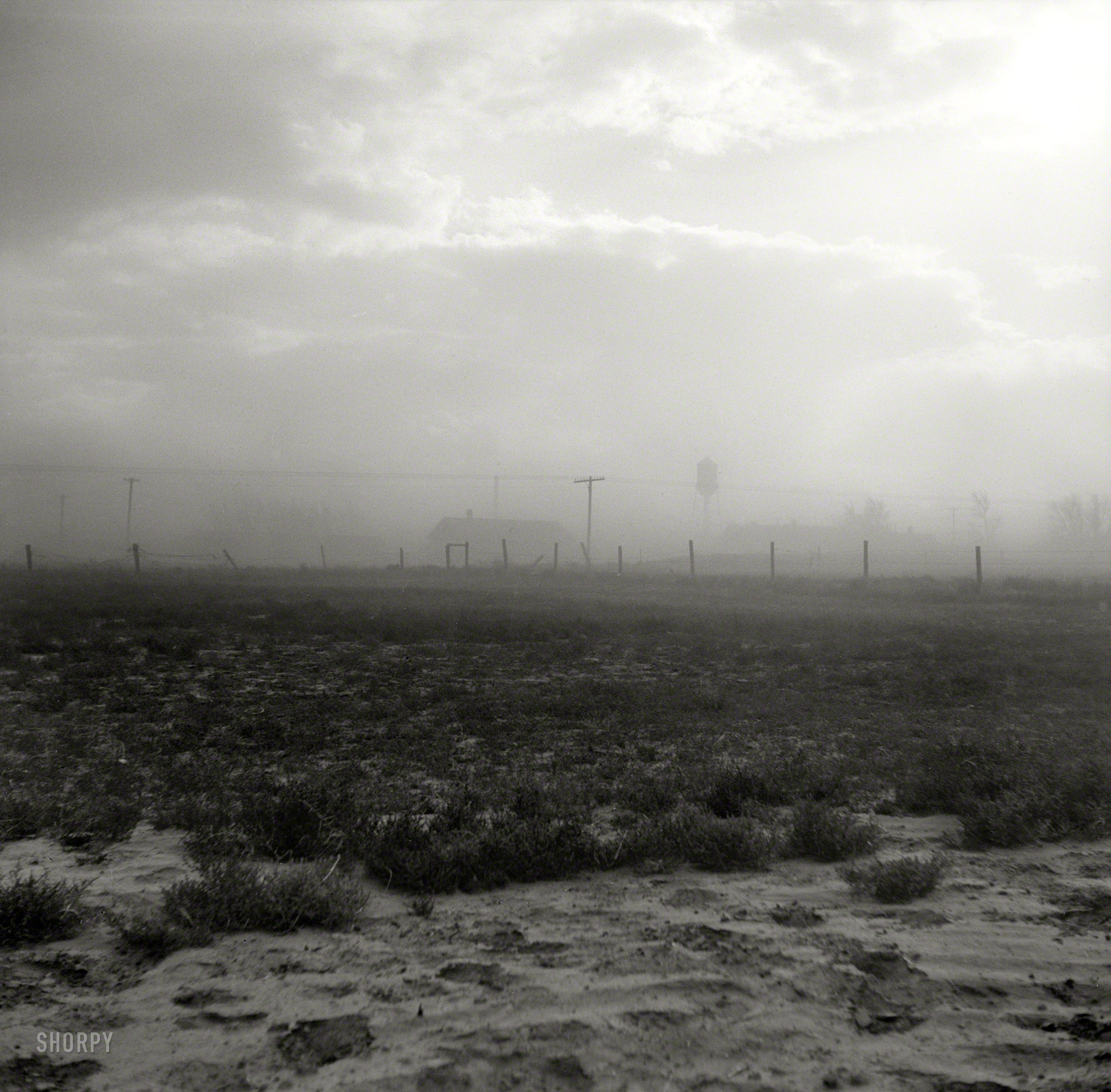 October 1937. "Dust storm near Williston, North Dakota." Medium format negative by Russell Lee for the Farm Security Administration. View full size.