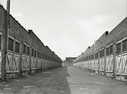 July 1938. "Garages in alley behind row houses. Baltimore, Maryland." Which one is ours again? Medium format nitrate negative by John Vachon. View full size.