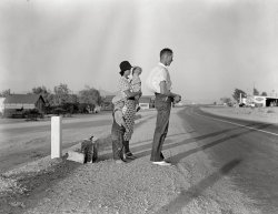 August 1936. "Example of self-resettlement in California. Oklahoma farm family on highway between Blythe and Indio. Forced by the drought of 1936 to abandon their farm, they set out with their children to drive to California. Picking cotton in Arizona for a day or two at a time gave them enough for food and gas to continue. On this day they were within a day's travel of their destination, Bakersfield. Their car had broken down en route and was abandoned." Medium-format negative by Dorothea Lange for the Resettlement Administration. View full size.