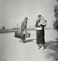 November 1936. "Young family, penniless, hitchhiking on U.S. Highway 99 in California. The father, 24, and the mother, 17, came from Winston-Salem, North Carolina. Early in 1935 their baby was born in the Imperial Valley, California, where they were working as field laborers." Photo by Dorothea Lange for the Resettlement Administration. View full size.