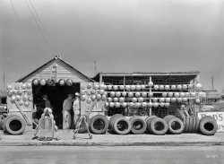 February 1939. "Auto parts store in Corpus Christi, Texas." Welcome to Dad's. Medium-format nitrate negative by Russell Lee. View full size.
Hubcap-O-RamaAnd every one dilligently policed up from the side of the highway.  The combination of cheap, pressed-steel wheels and high-pressure, bias-ply tires meant that hub caps were easily shed through excessive wheel deformation on encountering significant perturbations in the paving surface at speed -- short version, hit a pothole at 40 mph, lose a hubcap.  "Re-purposers" frequently picked them up for sale to places like this, where people who belatedly discovered they'd lost a hubcap might go to get a cheap replacement.  It's not unlikely that many people purchased the very hubcaps they'd lost a short time before.
HubcapsGreat selection, no two match !
By any other nameYou can call it a parts store, or you can call it an automotive recycling facility, or you can call it what it is--a junkyard.
Grille talkThat sidewalk grille reminded me of the time many years ago that I was scouting for parts for the 1933 Ford three-window coupe I had just bought for (drumroll) $200. In the dusty storage space above a small Bedford, Pennsylvania, Ford dealer's showroom (some showroom, I think it held two cars) I found a new still-in-the-brown-paper-factory-wrapping '33 grille, for which I paid all of $25. 
(The Gallery, Cars, Trucks, Buses, Russell Lee)