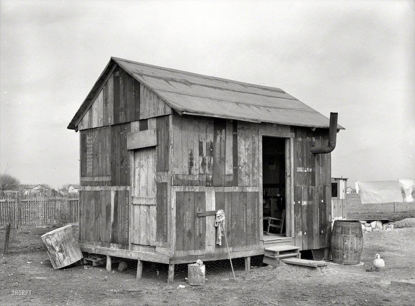March 1939. "House in Mexican section made of discarded airplane engine crates. San Antonio, Texas." Note feathered mascot. Medium-format nitrate negative by Russell Lee for the Resettlement Administration. View full size.
