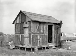 March 1939. "House in Mexican section made of discarded airplane engine crates. San Antonio, Texas." Note feathered mascot. Medium-format nitrate negative by Russell Lee for the Resettlement Administration. View full size.
Beware of Duck, Indeed!That's a muscovy.  They've got claws, and they know how to use them.
Mascot?I'm thinking maybe Dinner.
Fowl CraftsmanshipThe home looks solid but I suspect there may be quacks in the foundation. Also the doorways appear too low, tall people may have to duck to enter. Sorry, Dave started it.
And On it GoesDown-Wright comfy, except for the outdoor plumage.
Crate ConstructionNot bad, considering the material worked with. Looks like a container of whitewash to the left, should be really something when done. Too bad vinyl siding hasn't been invented yet. 
Wright WhirlwindThe Wright Whirlwind was a family of air-cooled radial aircraft engines. They were produced by Wright Aeronautical, a direct descendent of the Wright brothers' original company. In 1939, they were producing 7- and 9-cylinder versions. The 9-cylinder version was also used for Sherman tanks in WWII.
They also produced a 14-cylinder engine used in military prototypes, but they weren't produced commercially. That's too bad, because the crates for a 14-cylinder engine could have given them an extra room.
Construction inspectionWoodstove chimney:
Metal bushing at wall penetration
  check
Height, minimum 2 feet above anything within 10 foot radius
  check
Rain cap
  check
Spark arrester
  check
Foundation:
Footing extends below frostline
  Probably does!
ObservationDownton Abbey it's not.
Frost Line?Dbell, this is San Antonio. The frost line is several hundred miles north! :-)
Living in SA now, I really wonder where the "Mexican section" was. Considering the construction material, maybe near Stinson Field?
Most likely near Kelly AFBAbout mid-way between the left edge of the house and the left edge of the door one of the boards in the upper half has what looks like "A. C. S. D. March Field". I'm fairly certain that's "Air Corps Supply Depot" (March Field is near Riverside, Ca). If so, those were crates for military engines. Stinson Field was still civilian in 1939, and Lackland AFB had not yet been built. That leaves Randolph, Kelly and Brooks AFBs as sources for the crates. Obviously, the source of the crates isn't necessarily near the location of the house, but it seems likely that it would be. In that case, we're left with Kelly and Brooks, as the area around Randolph would not have been described as the "Mexican section". The areas around Kelly and Brooks could, and probably would, have been so described, and I think the area around Kelly is the more likely one.
(The Gallery, Russell Lee)