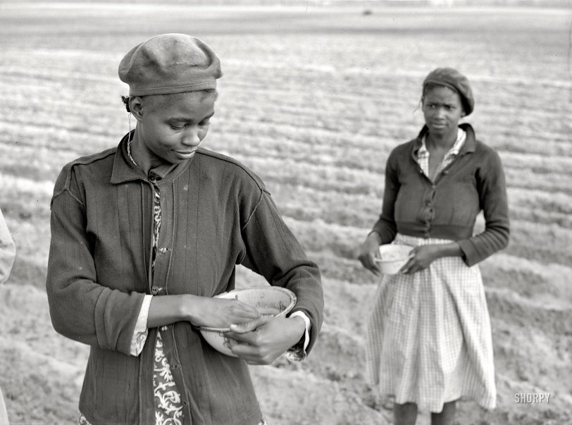 March 1941. "Planting corn on a plantation near Moncks Corner, South Carolina." Medium-format negative by Jack Delano for the FSA. View full size.