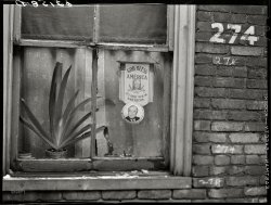 January 1941. "Window in home of unemployed steelworker. Ambridge, Pennsylvania."  Medium-format negative by John Vachon. View full size.