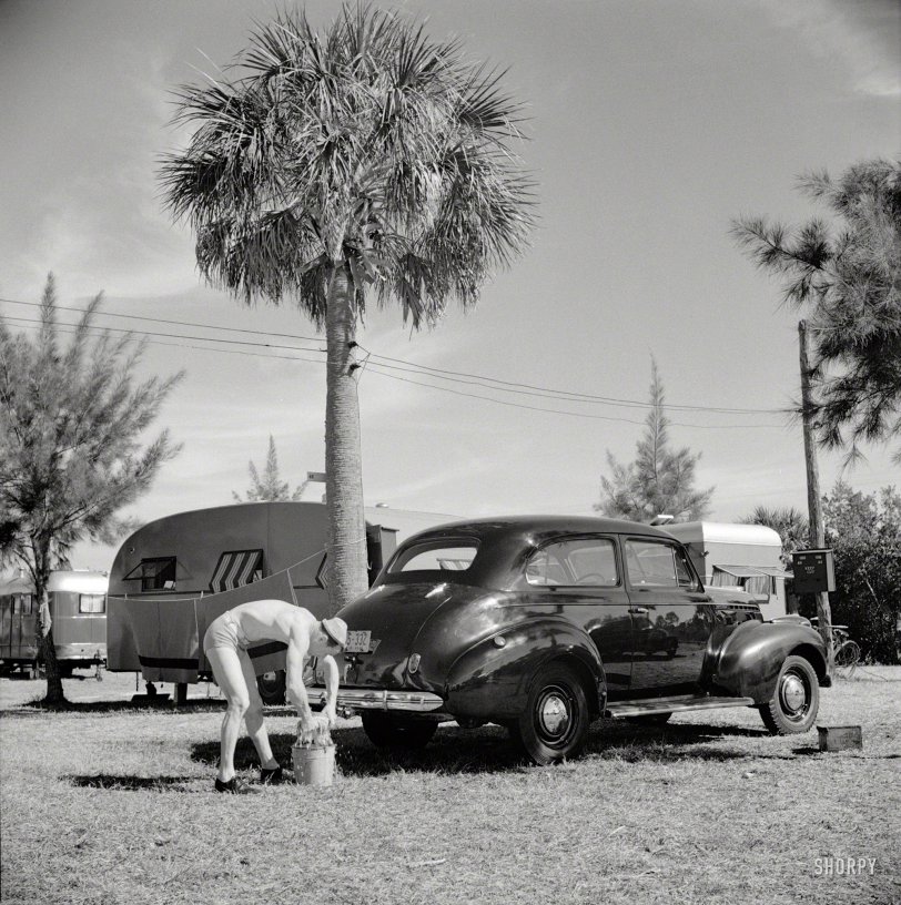 January 1941. "Guest at Sarasota, Florida, trailer park washing his car." This would be Mr. White from Virginia. Photo by Marion Post Wolcott. View full size.
