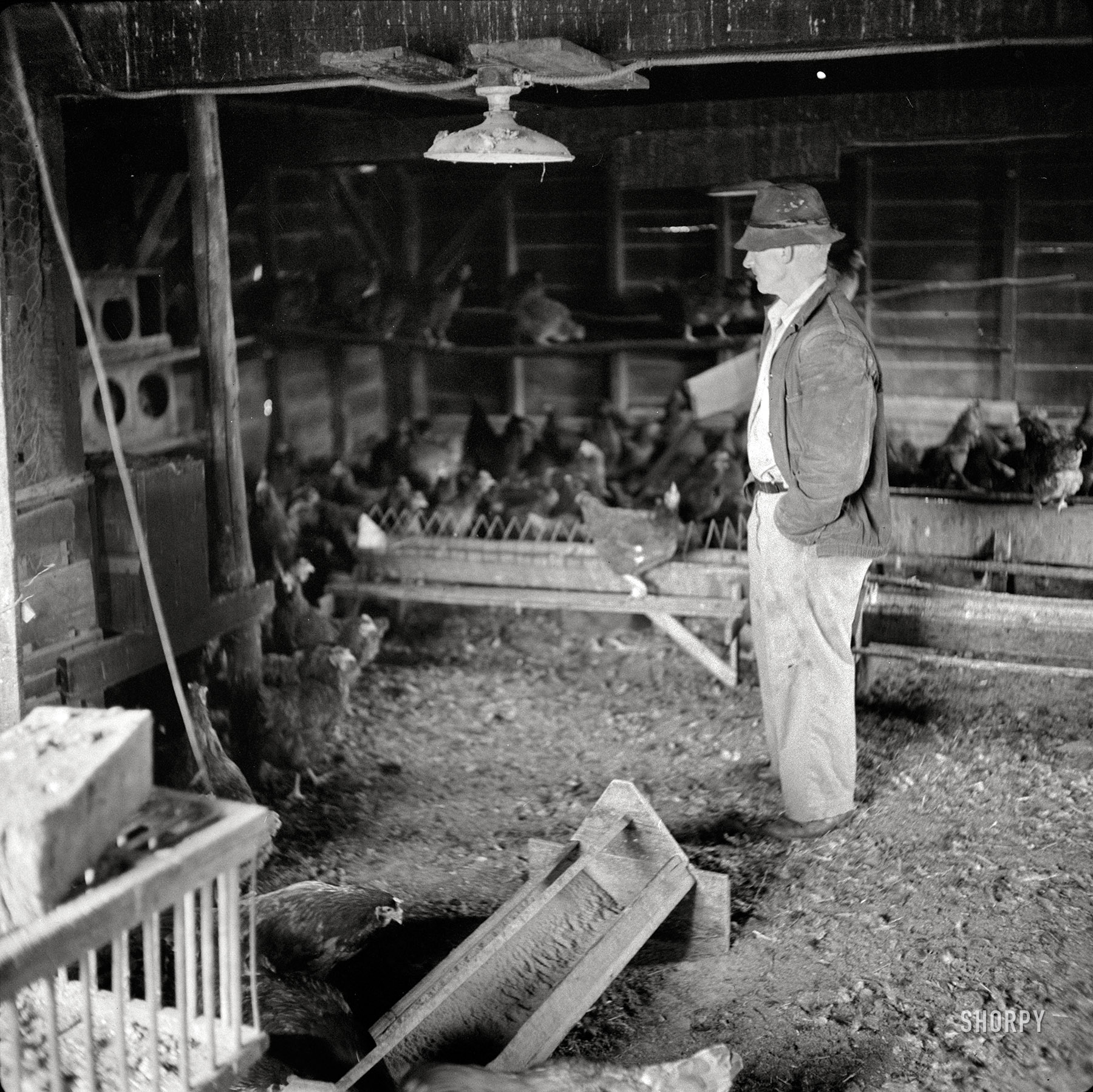 October 1941. "Mr. Mambert, Hudson River farmer near Coxsackie, New York." Photo by John Collier for the Resettlement Administration. View full size.