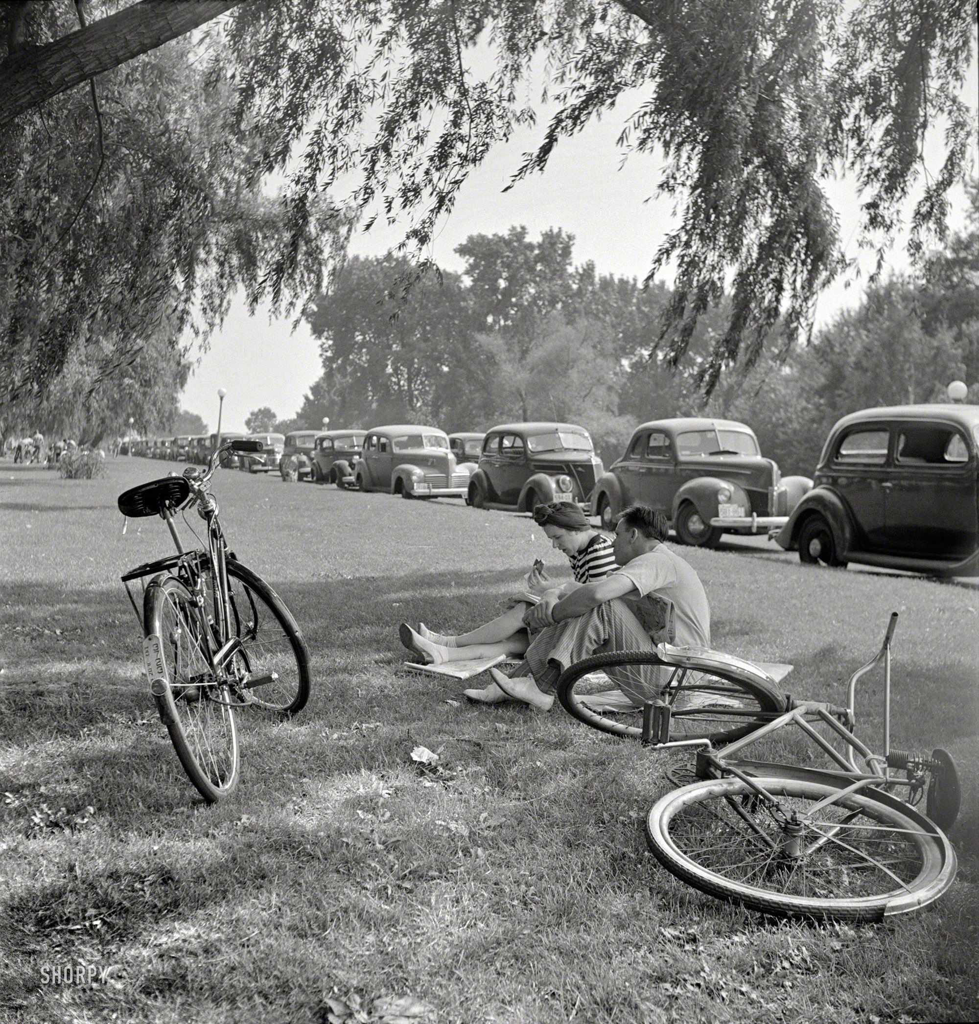 July 1942. "Sunday loungers at Hains Point." Peaceful wartime Washington. Photo by Marjory Collins for the Office of War Information. View full size.