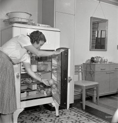 May 1942. "Greenbelt, Maryland. Federal housing project. Mrs. Leslie Atkins taking an orange out of her well-stocked refrigerator." Medium-format negative by Marjory Collins for the Office of War Information. View full size.