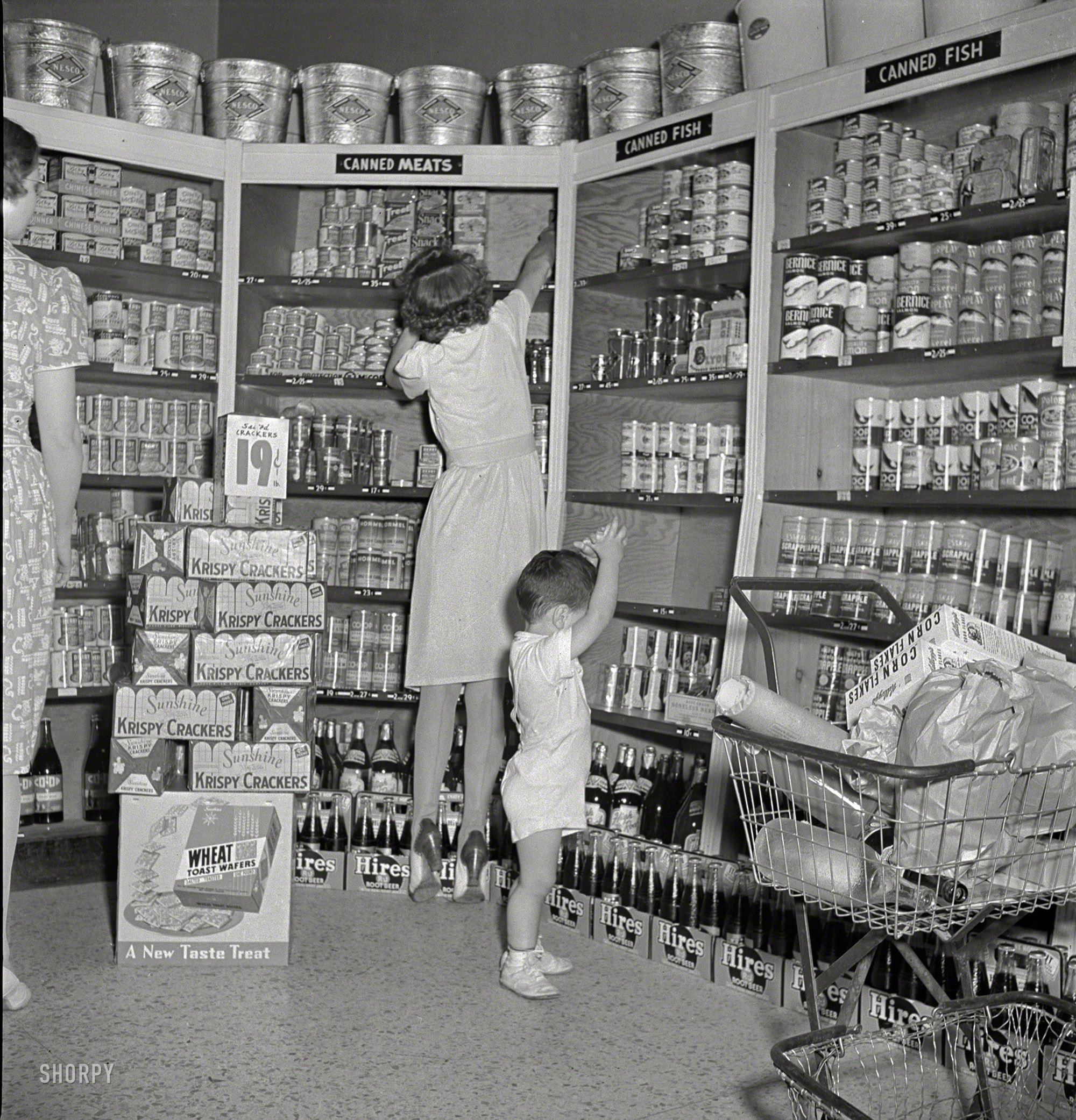 May 1942. "Greenbelt, Maryland. Federal housing project. Shopping in the cooperative grocery store." Hunting for that last can of Spam. Photo by Marjory Collins for the Resettlement Administration. View full size.
