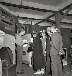 September 1942. "New York, New York. Boarding interstate buses at the Greyhound terminal, 34th Street." En route to Asbury Park, safe from the paparazzi. Photo by Marjory Collins, Office of War Information. View full size.
History Lesson?I was wondering if even in NYC, this African American lady was boarding first, if they were boarding from the back to the front. Was there segregation on Greyhound buses at that time in NYC?
34th Street TerminalI found a photo of the old terminal, with Penn Station in the background, on Wikipedia. That block is now home to a large K-Mart and a Duane Reade, among other things. I know this because I stand there every morning on 34th and 8th, waiting for a private commute bus. The Bolt Bus picks up passengers one block down, between 8th and 9th.
The terminalManhattan's Greyhound terminal was a stylish Art Moderne structure directly across from Penn Station on Seventh Avenue.  Built in 1935, it was gone within 30 years. Having been rendered largely superfluous by the opening of the enormous Port Authority Bus Terminal in 1950, it was demolished around the same time as the old Penn Station in the early 1960's. 
Dressing upIt's remarkable to see how well dressed these people are to "hop the dog," as we used to call taking the Greyhound. These days people don't dress up even for a plane or ocean cruise.
Greyhound memoriesI can remember many scenes like this from childhood while traveling with my grandmother in the late 1950s and early 1960s.
This driver is not wearing his uniform jacket, which was, like the pants, gray wool, and I seem to recall had blue piping and gold embroidered insignia, with a matching airline-style hat.  It was very impressive to a child still in single digits.  I thought they looked like a Confederate general.
The boarding queue was not segregated, everyone fell in line in no particular order, but, being below the Mason-Dixon line (South Carolina), after punching each African-American passenger's ticket, as the driver returned the receipt portion, he said, "Step to the rear of the bus, please."  This all seemed very routine and matter-of-fact to me at the time.  It was just the way things were done.
There were no on-board restrooms back then, and you had a clear view of the bench seat that extended across the very back end of the bus, and I remember one trip when I made up my mind that I wanted to ride back there.  Both sections were really crowded.  My grandmother kept whispering, "No, hush, you can't ride back there," and as I got louder and louder with my demands, everybody started giggling, especially the black passengers, at the little white boy who was being told he couldn't ride in the back of the bus.  And I was pitching a tantrum over it.
Finally, an older black man, on that enticing back bench, said, "Let him come on back, it'll be all right, if the driver don't care."  The driver didn't care, he was probably glad to get me pacified, so I ran down the aisle and they made room for me on that back seat.  It didn't take long for me to realize that I couldn't see anything from there, and I went back up front.
Not certain -- but the bus looks like a Yellow Coach 743. 
RestrictedNew York was not segregated, but many places like hotels and restaurants were "restricted". That is no Blacks or Jews allowed. This held true until the sixties, when things started to change.
Greyhound uniformsHad this been a bit later, '50s-'60s, my aunt would have been able to claim she had had her hands in the driver's crotch! She loved saying that - her job at the uniform factory where all Greyhound uniforms were made was to do that fussy stitch at the bottom of the zipper.
(The Gallery, Cars, Trucks, Buses, Marjory Collins, NYC)