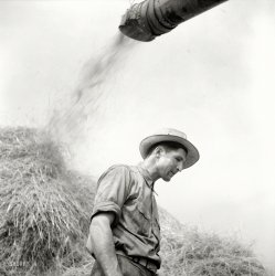 Fall 1941. Jackson, Michigan. "Soldier granted a furlough to help with harvesting on this farm, watching threshing." Photo by Arthur Siegel. View full size.
