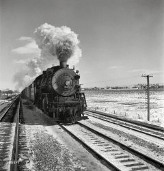 March 1943. "On the Atchison, Topeka &amp; Santa Fe between Chicago and Chillicothe, Illinois." Another of the many photos by Jack Delano documenting his trip on a freight train from Chicago to California. View full size.
For those of us in the North CountryIt's a beautiful picture, but I'm going to be looking at landscapes like this for the next five months.
Wonderful, Jack!I just can not get enough of these terrific train pictures.
Which reminds me -- anything ever from Lucius Beebe?
[The occasional order for caviar and Champagne. - Dave]
Ahhh, that's Lucius alright..... from ''The Pump Room''?
#3259was 2-8-2 stationed at Chillicothe that met its fate in 1952. You may have driven around in a car with parts made from this beauty.
Old Tea kettlesSP&amp;S #700 is getting eready to make some runs the next few weekends as the HOLIDAY EXPRESS, here in Portland, Oregon.
Along with SP #4449, SP&amp;S #770 is one of two historic steam engines tha operate out of Portland, with a third one currently being restored to running condition.
There is nothing like the sound of a Steam train and whistle. 
Is she &quot;carrying green?&quot;I'm referring to the flags that can be seen on either side atop the smoke box. Very difficult to tell in an old black&amp;white photo. They may be very dirty white ones, however.
Green signified "extra section(s) to follow," meaning the train was long enough that it was divided into more than one train. White flags meant it was "running extra" as an unscheduled train not listed on the timetable.
Considering the date, March 1943, at the height of WWII, either designation was possible. The railroads were doing yoeman service hauling troops and freight for the war effort!
(The Gallery, Jack Delano, Railroads)