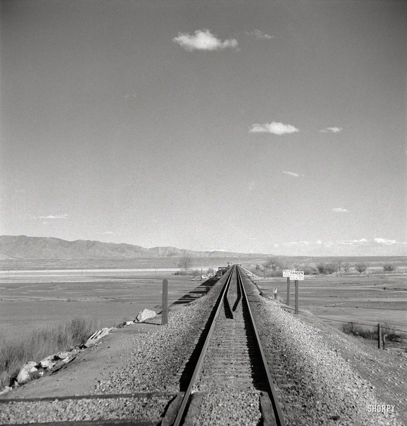 March 1943. "Belen, New Mexico. Going across the Rio Grande River Valley on the Atchison, Topeka &amp; Santa Fe R.R. between Vaughn and Belen, New Mexico. There is a drop of over 1600 feet in elevation." Photo by Jack Delano. View full size.

