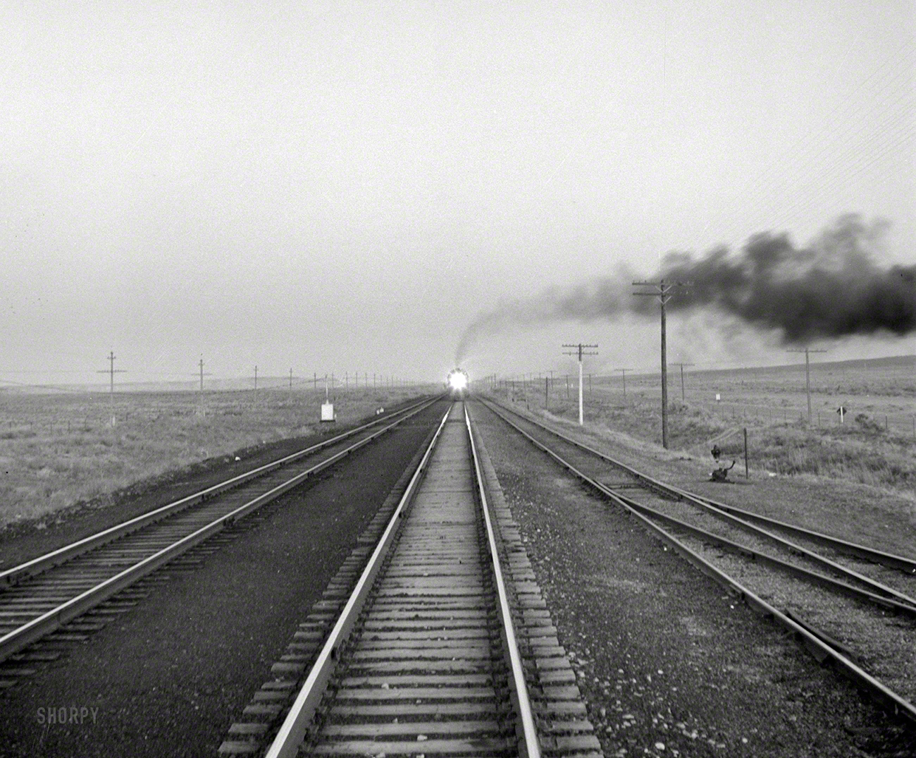 March 1943. "On the Atchison, Topeka & Santa Fe between Belen and Gallup, New Mexico." Photo by Jack Delano, Office of War Information. View full size.